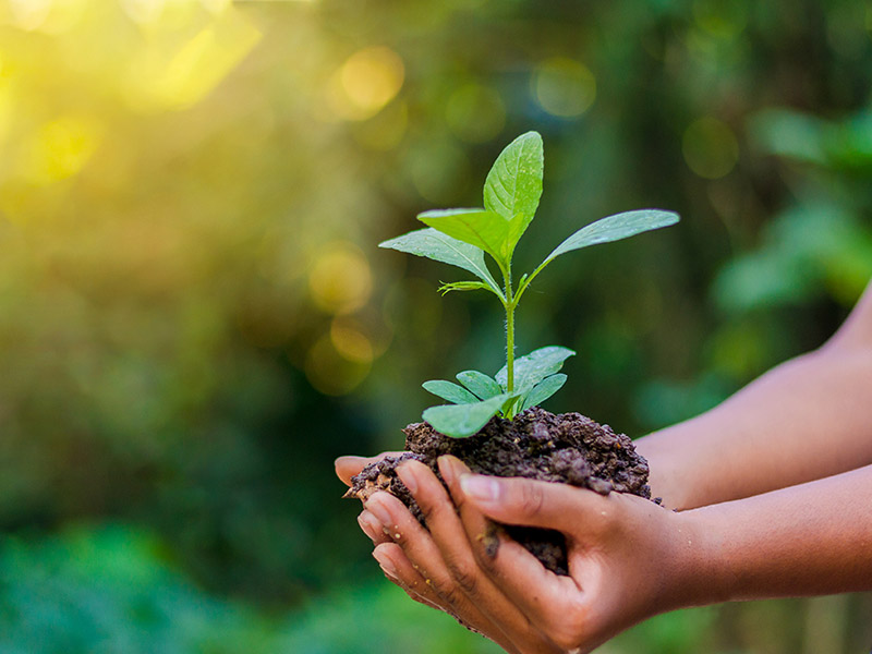 Protection de l'Environnement